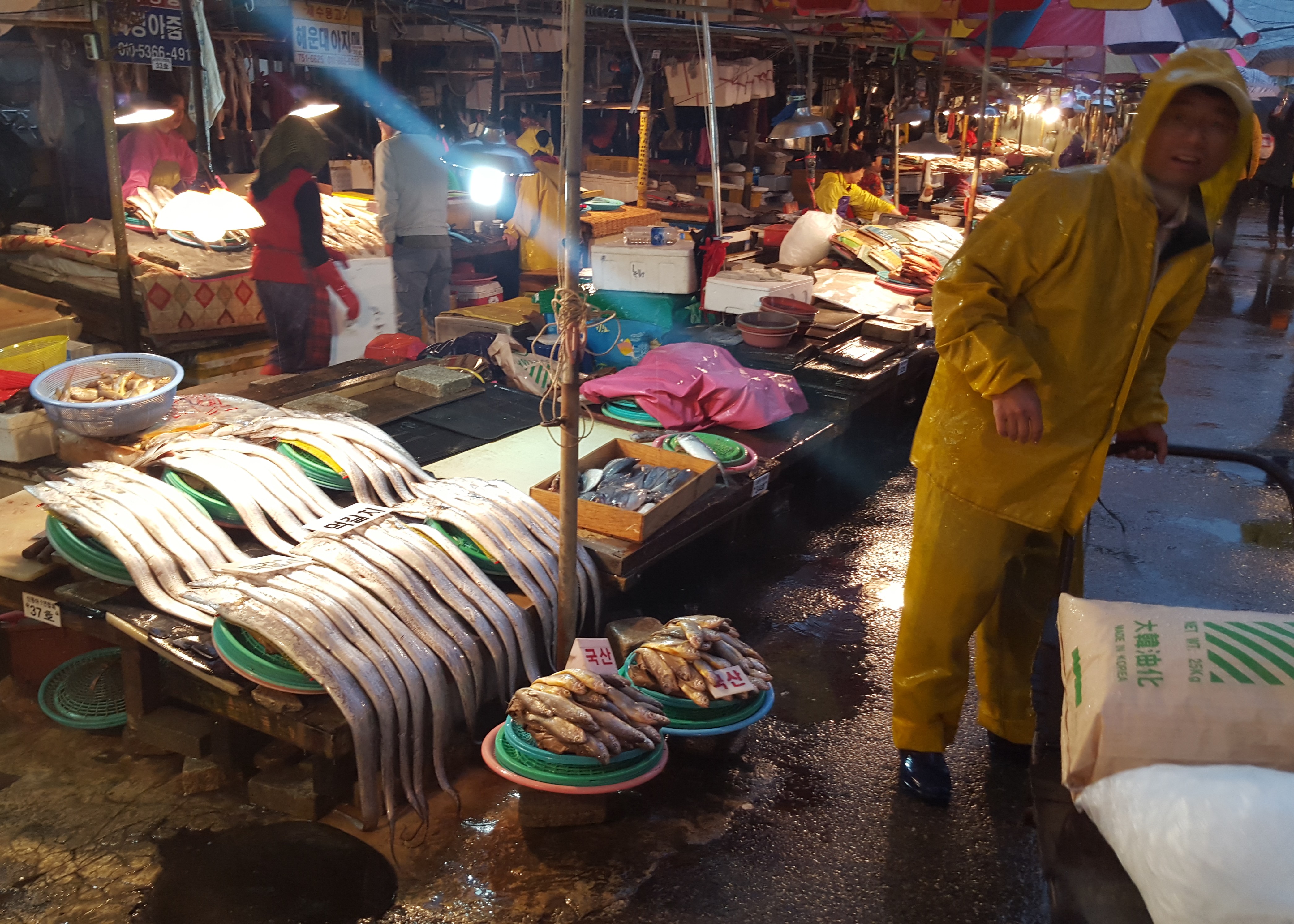 Fish stew and mystifying maps in Busan